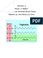 Química Anexo 3 Lipidos