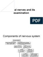 Cranial Nerves and Its Examination