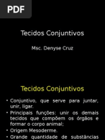 Tecidos Conjuntivos