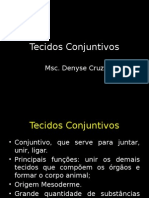 Tecidos Conjuntivos