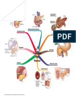 Trastorn Os Del Pancreas