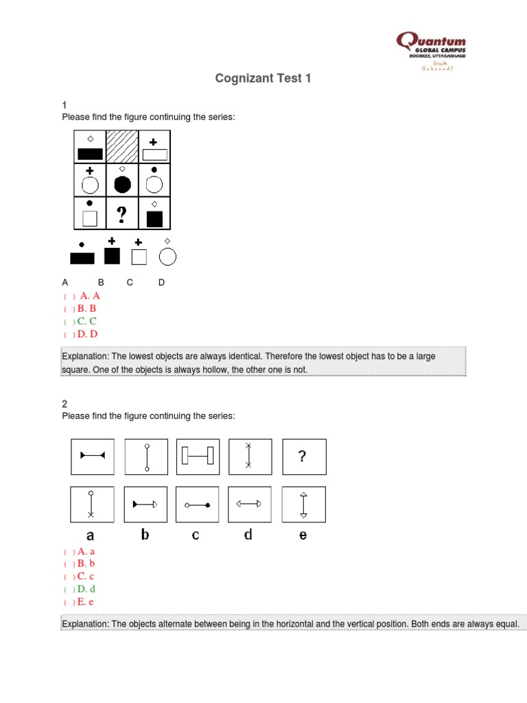 Cognizant visual data 6