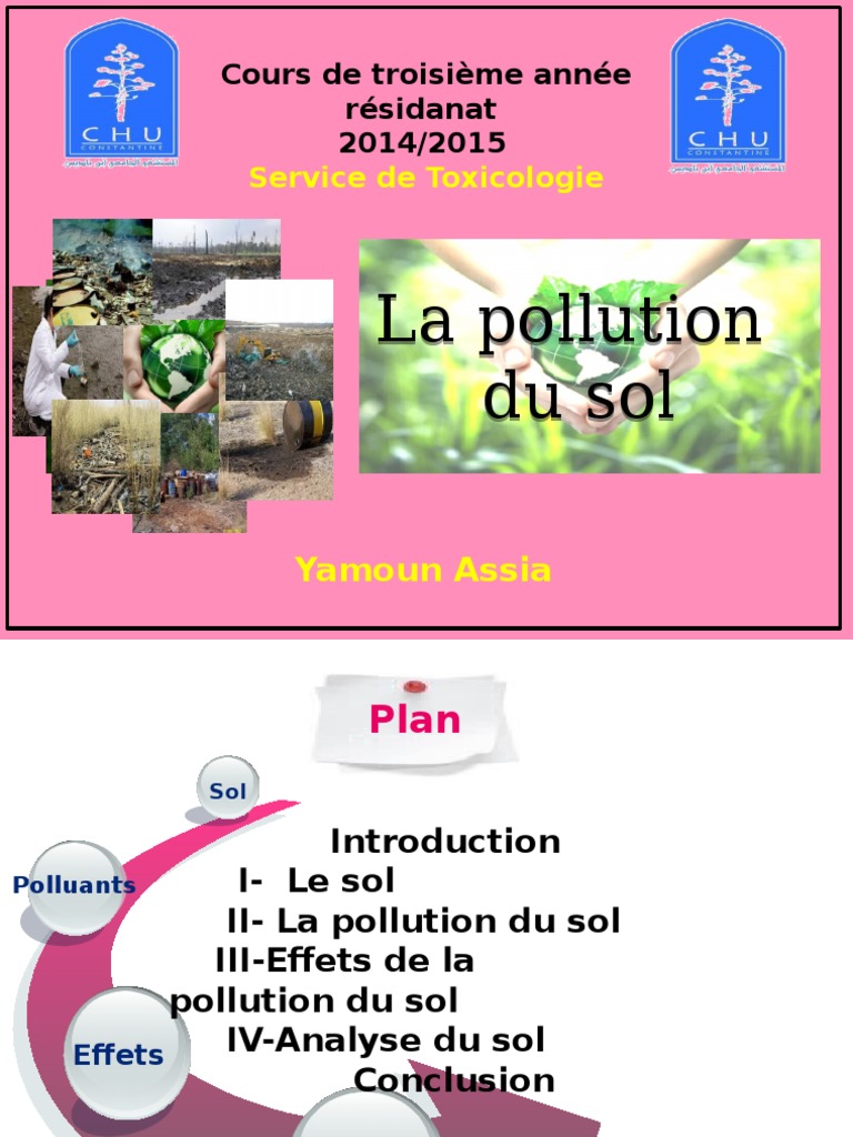 Impact de la Pollution du Sol | PDF | Sol (pédologie) | la pollution