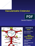 Vascularizatia Creierului