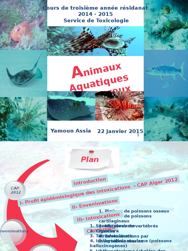 Animaux Aquatiques Dangereux Venin Bien être