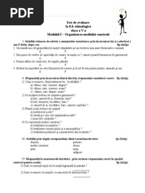 Test De Evaluare Sumativa Ed Tehn V
