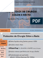 Protocolos de Cirurgia Cólon, Recto, Hemorróidas e Fístulas Anais