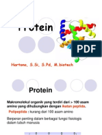 Kul 1-2 Protein