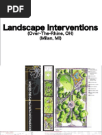 Landscape Interventions: (Over-The-Rhine, OH) (Milan, MI)