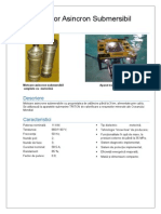 Fisa. Motor Asincron Submersibil