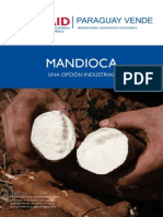 Mandioca 2010