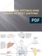 Koordinasi Metabolisme Energi Di Otot Jantung