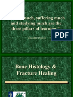 Bone Histology & Repair