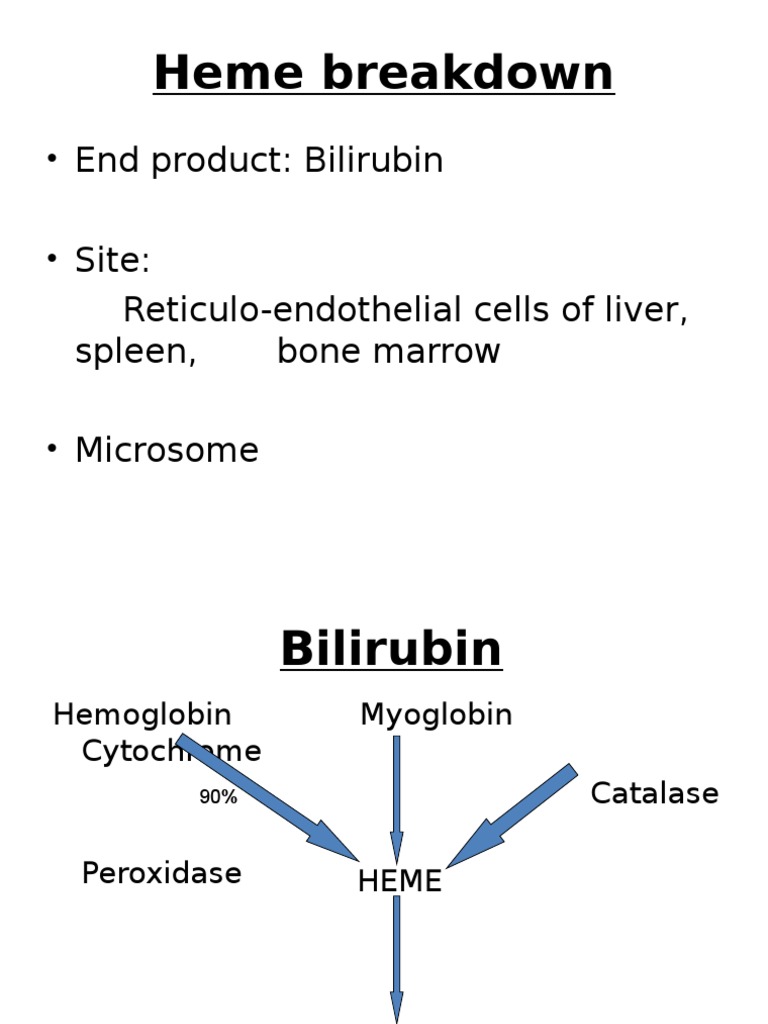 Heme Breakdown Jaundice Lft Alanine Transaminase Liver