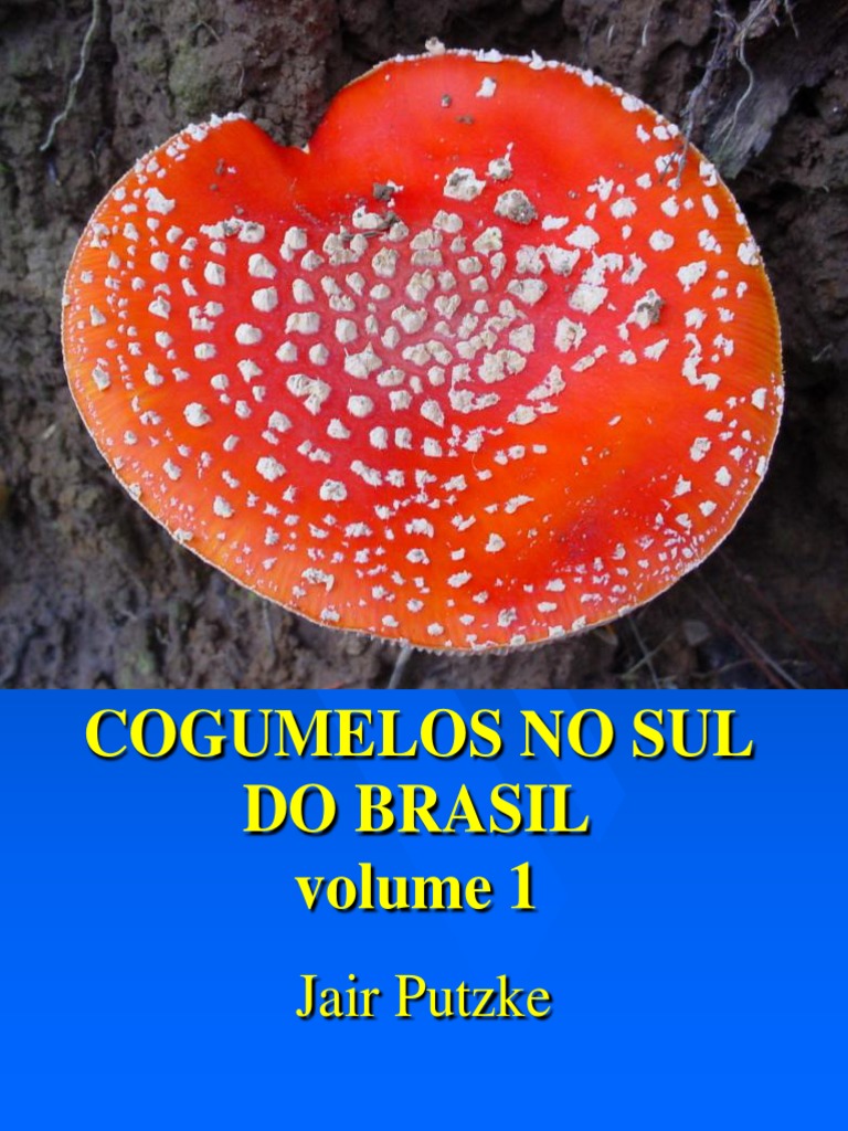 Cogumelos No Sul Do Brasil - Volume 1 | PDF | Cogumelo comestível | Plantas, image size:768x1024