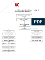 Organizational Chart of Metropolitan Medical Center2