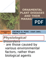 Ornamental Plant Diseases and Their Managements