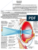 Fi Adeactivitatept - Laborator Ochiul Imaginecolor Explica II Metodadelucrupt - Disec Ie