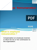 Employee Remuneration