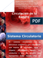 Circulación de La Sangre