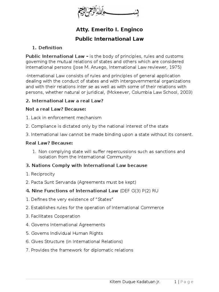 Understanding International Law Principles | PDF | Treaty | Ratification