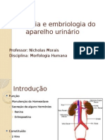 Histo e Embrio Do Aparelho Urinário