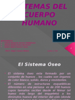 Sistemas del Cuerpo Humano