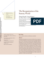 PORCELLO, T. The Reorganization of The Sensory World