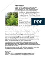Download Mengenal Pohon Pinus Dan Manfaatnya by SugSuga SN254400459 doc pdf