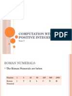 Computing With Positive Integers