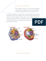 Materia de Biologia15