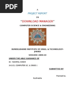 Download Download Manager Project by pramodbiet SN25440430 doc pdf