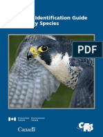 Falconry Guide - Public Edition (SM)