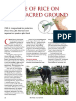 Rice Today Vol. 14, No. 1 the Rise of Rice on Peru's Sacred Ground