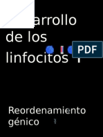 Desarrollo linfocitos T: reordenamiento génico timo