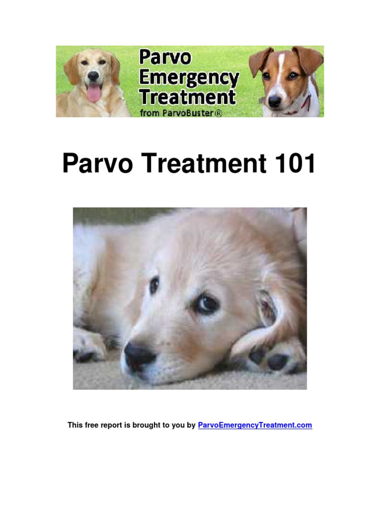 how expensive is it to treat parvo