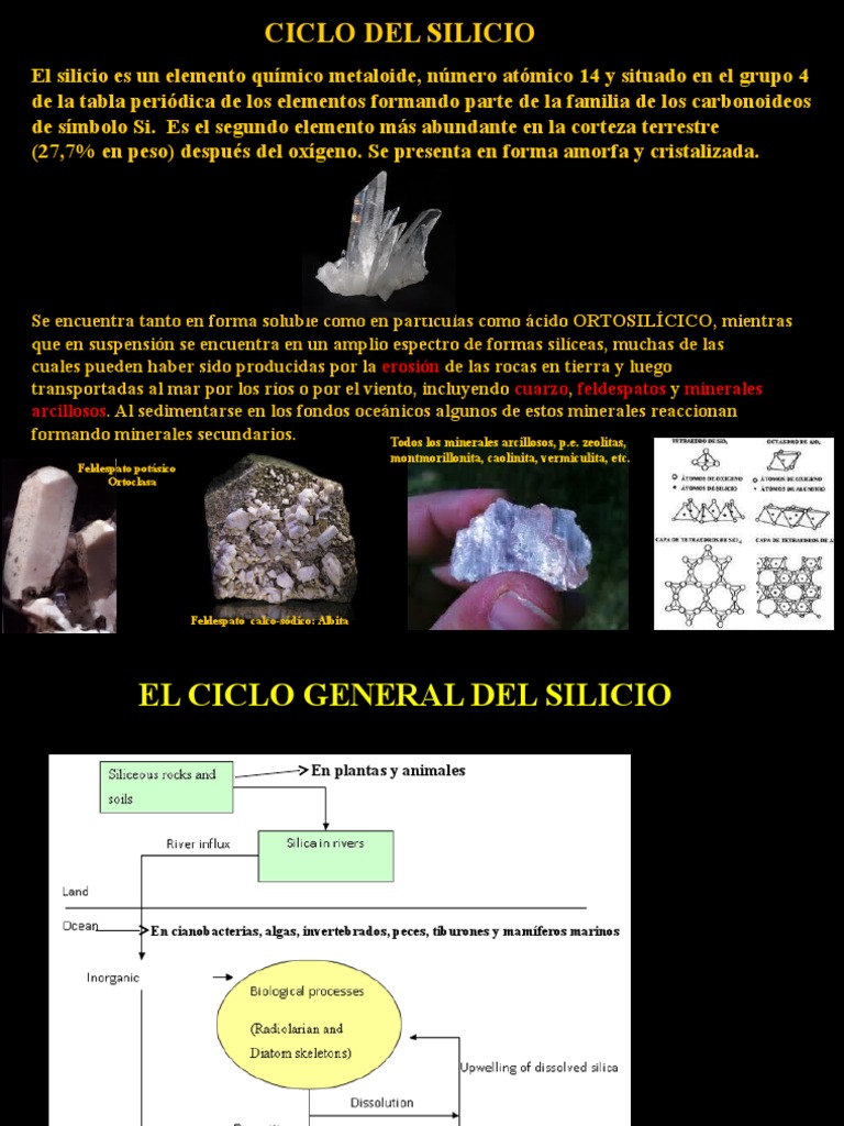 Ciclo Del Silicio | Silicio | Minerales