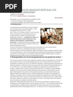 Bioseguridad en Granjas Porcícolas