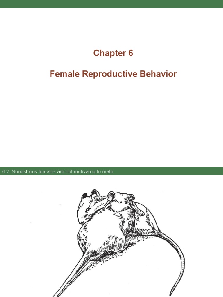 Female Reproductive Behavior | PDF