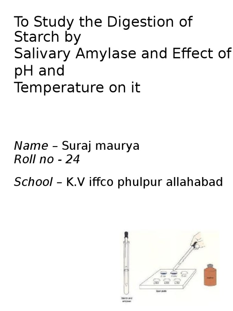 To Study The Digestion of Starch by Salivary Amylase and Effect of PH ...