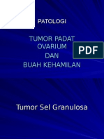 Ovarium Dan Buah Kehamilan