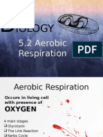 Iology: 5.2 Aerobic Respiration