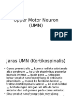 Upper Motor Neuron (UMN)