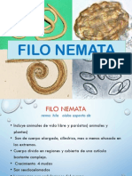 Nematoda