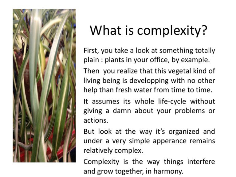 Understanding Complexity in Nature | PDF | Science & Mathematics