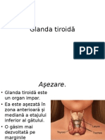 Glanda Tiroidă