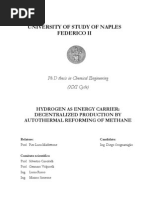 Download Tesi Dottorato Scognamiglio by Gustavo Guilln SN254483440 doc pdf