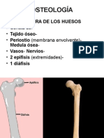 Osteologia