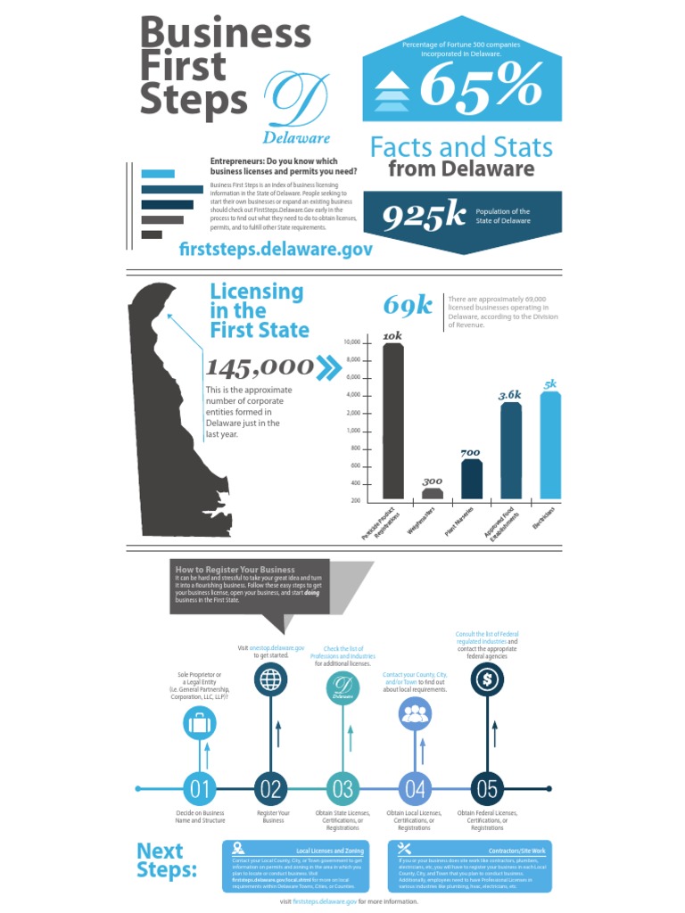 Delaware Business License Guide | PDF