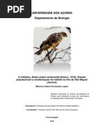 O Milhafre B. b. Rothschildi